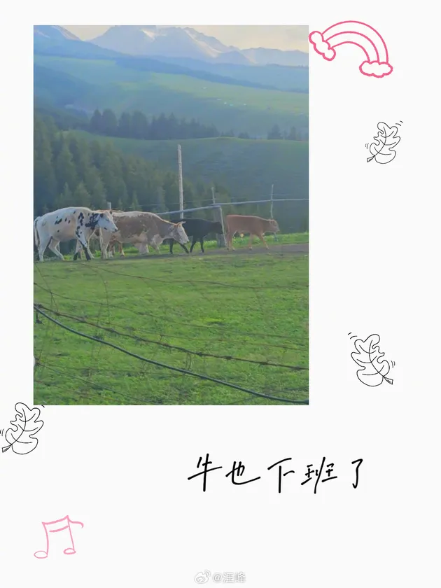 桃花坞收官预览 6
