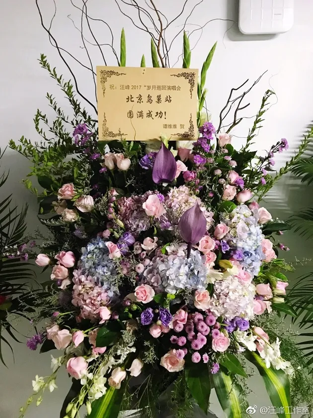 岁月·鸟巢后台预览 4